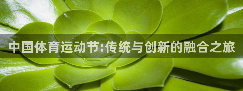 球新体育：中国体育运动节:传统与创新的融合之旅