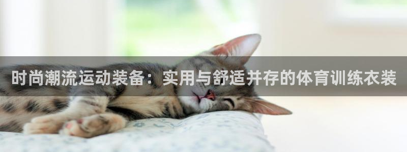 球新体育：时尚潮流运动装备：实用与舒适并存的体育训练衣装