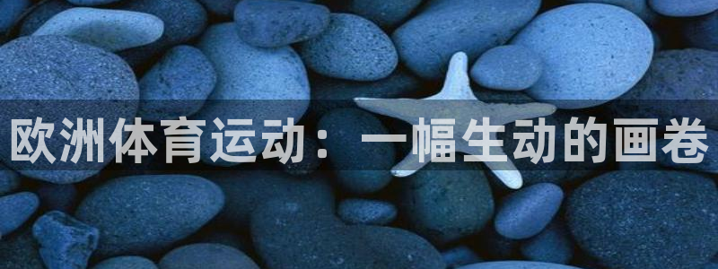 球新体育：欧洲体育运动：一幅生动的画卷