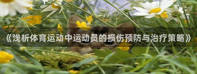 球新体育：《浅析体育运动中运动员的损伤预防与治疗策略》