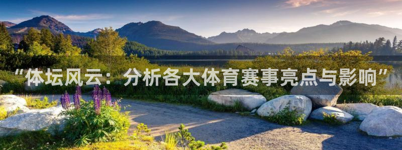 球新体育：“体坛风云：分析各大体育赛事亮点与影响”