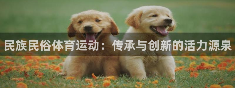 球新体育：民族民俗体育运动：传承与创新的活力源泉