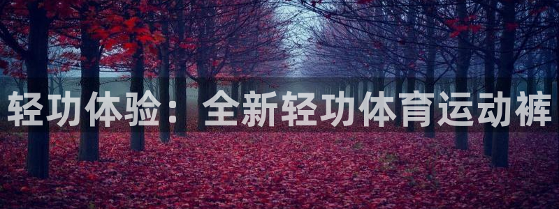球新体育：轻功体验：全新轻功体育运动裤