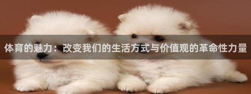 球新体育：体育的魅力：改变我们的生活方式与价值观的革命性力量