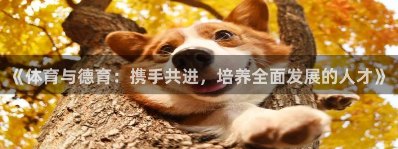 球新体育：《体育与德育：携手共进，培养全面发展的人才》